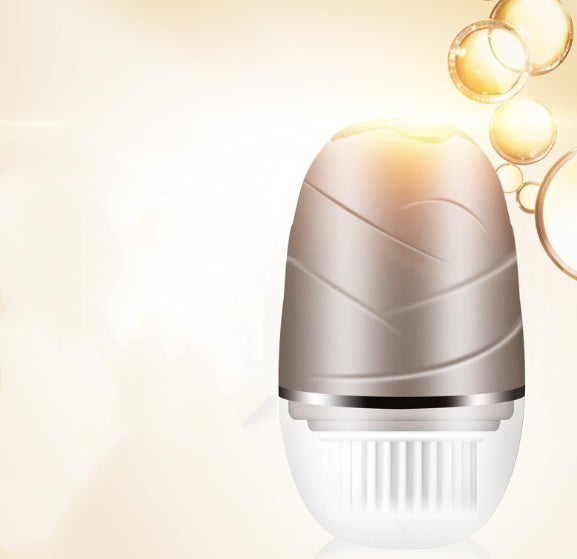 Electric Rotary Face Brush