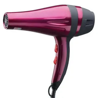 Electric Hair Dryer