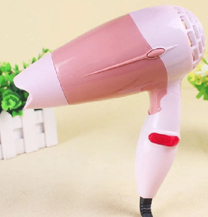 Electric Hair Dryer